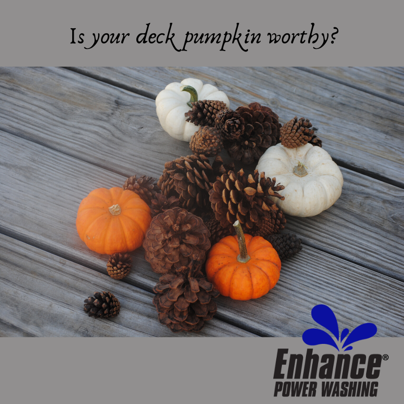 EnhancePwrWash's tweet photo. Are your thanksgiving pumpkins truly happy? Give them a clean deck or porch by calling Enhance Power Washing 678-713-1167 and your pumpkins may stick around for longer! #enhancepowerwashing #thanksgiving #holidaydecor #pumkins #softwash #neighborenvy #powerwash https://t.co/04Bl0wJeNa