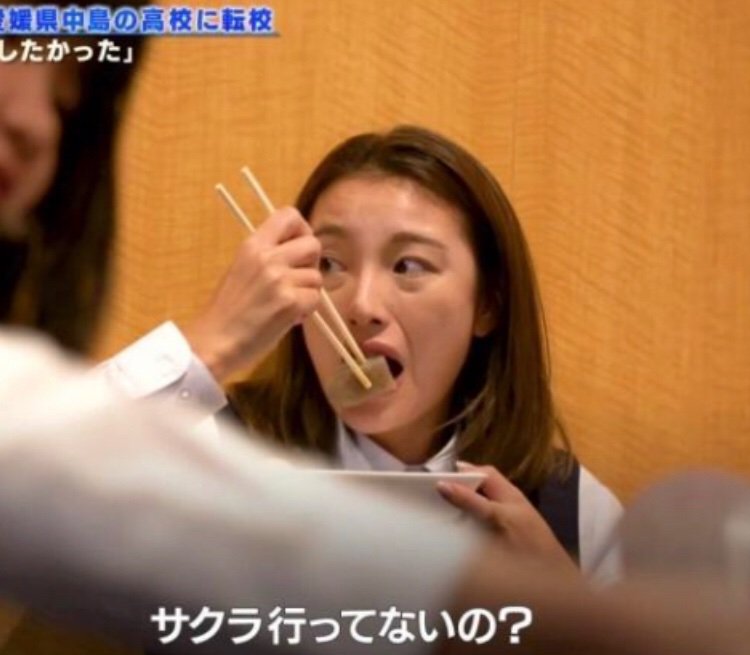 猫 Fantastic Beasts The Secrets Of Dumbledore 話題の人達 似てる なでしこ寿司 女が寿司を握るのはだめですか そういう問題じゃない 不衛生 千津井由貴 木下優樹菜 タピオカ恫喝 箸の持ち方 下品 お行儀悪い T Co