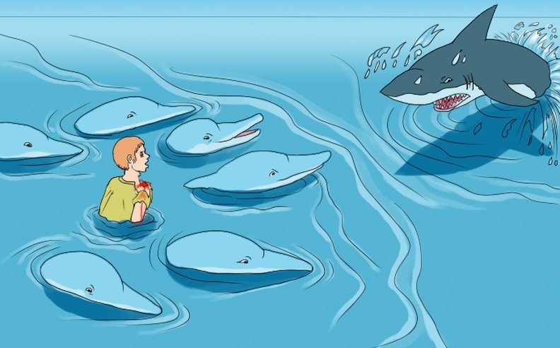 PescaraCalcio's tweet photo. L'unica "scorta" che ci piace 🐬🤗👤🤜🏻🦈

#LilianaSegre #StopOdio https://t.co/nNl1kIUEVU