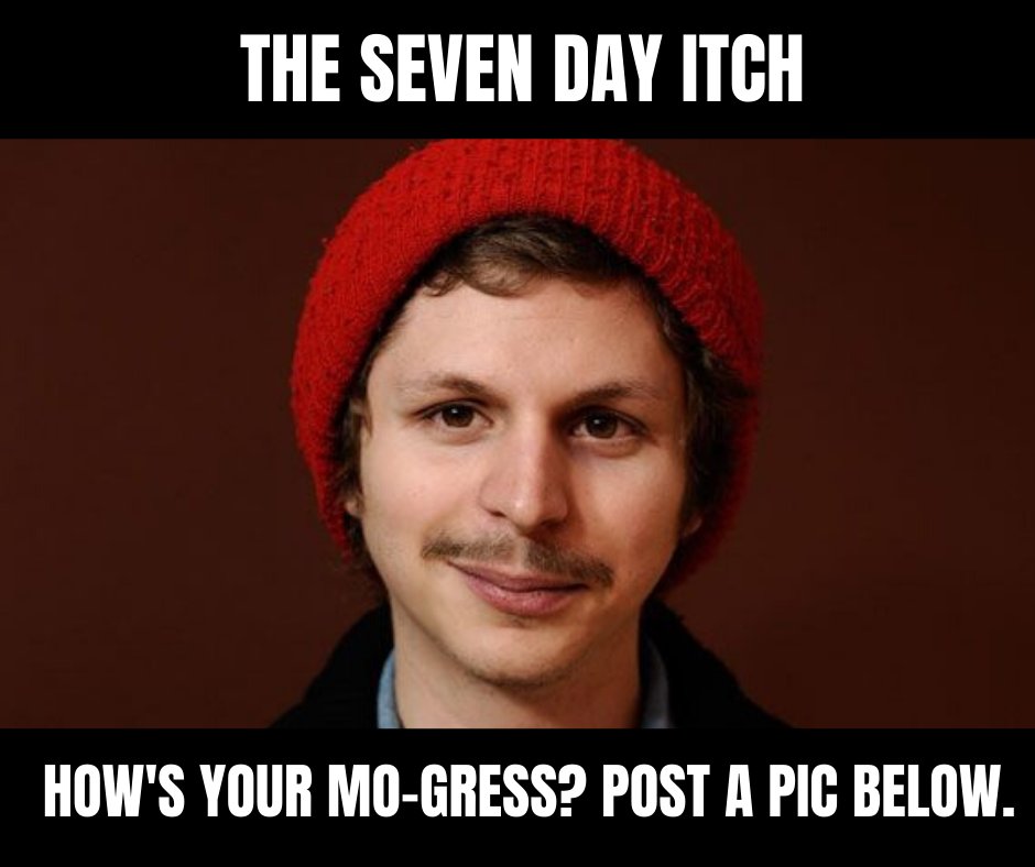 It's the seven day itch. The moustaches are starting to take shape. How's your Mo-gross? 

Post a pic of your lip tickler below.