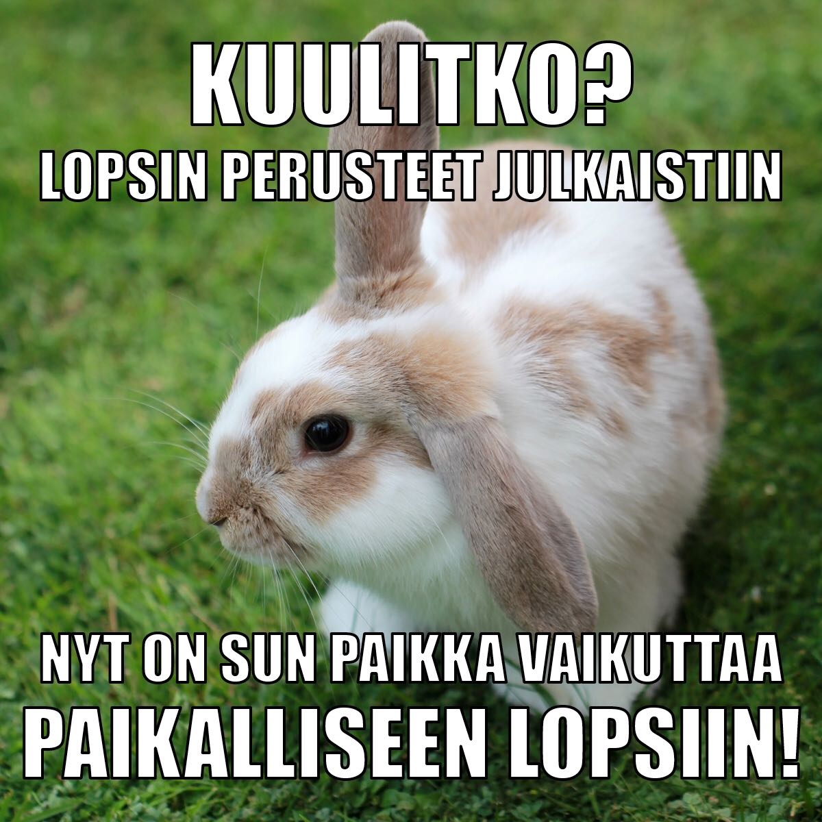 Lukiolaiset's tweet image. Tänään julkaistiin uudet lukion opetussuunnitelmien perusteet! 🥳 #lops