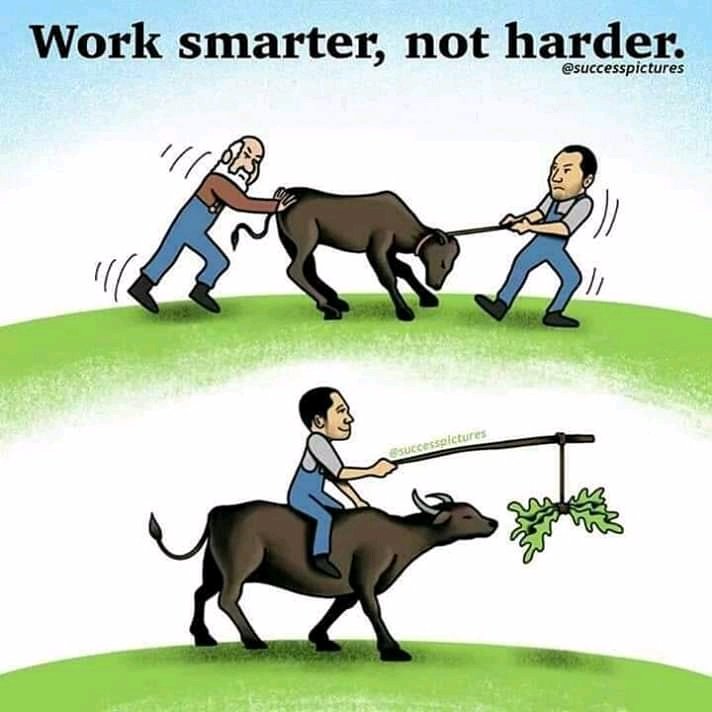 BenedictBoakai's tweet photo. https://t.co/NGfdoFbgaJ