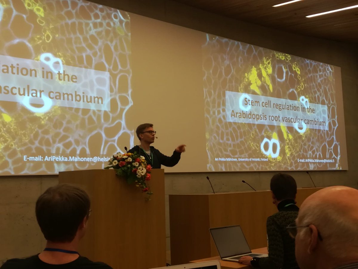 Kirk Overmyer (@kirkovermyer) on Twitter photo Our own <a href="/AP_Mahonen/">Ari Pekka Mähönen 🇫🇮 🇺🇦</a> presents his work on stem cell regulation in the root vascular cambium. <a href="/HiLIFE_helsinki/">HiLIFE_Helsinki</a>
<a href="/BIOTECH_UH/">Institute of Biotechnology (BI)</a> <a href="/OEB_Helsinki/">OEB-ResPrg</a> <a href="/helsinkiuni/">University of Helsinki</a> #PICW <a href="/FCoE_MBPP/">FCoE MBPP</a> Read about it here: nature.com/articles/s4158… Our own <a href="/AP_Mahonen/">Ari Pekka Mähönen 🇫🇮 🇺🇦</a> presents his work on stem cell regulation in the root vascular cambium. <a href="/HiLIFE_helsinki/">HiLIFE_Helsinki</a>
<a href="/BIOTECH_UH/">Institute of Biotechnology (BI)</a> <a href="/OEB_Helsinki/">OEB-ResPrg</a> <a href="/helsinkiuni/">University of Helsinki</a> #PICW <a href="/FCoE_MBPP/">FCoE MBPP</a> Read about it here: nature.com/articles/s4158…