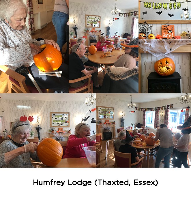 runwood_homes tweet media