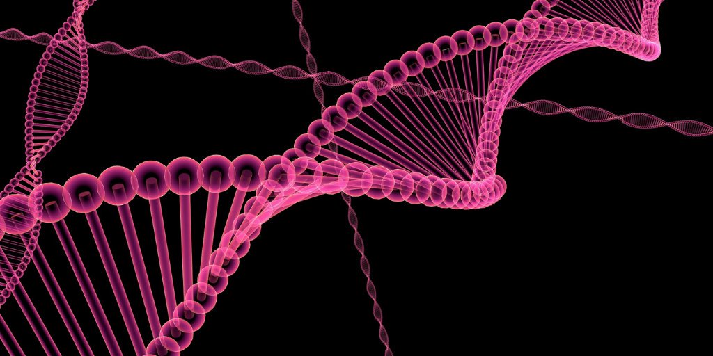 H1 Connect (@h1connect) on Twitter photo OHNOLOGS v2: "an invaluable tool for researching how #vertebrate complexity and variety evolved across geologic time" – recommended by Carol MacKintosh <a href="/UoDLifeSciences/">UoD Life Sciences</a> #BioInformatics #Evolution f1000.com/prime/73675832… OHNOLOGS v2: "an invaluable tool for researching how #vertebrate complexity and variety evolved across geologic time" – recommended by Carol MacKintosh <a href="/UoDLifeSciences/">UoD Life Sciences</a> #BioInformatics #Evolution f1000.com/prime/73675832…