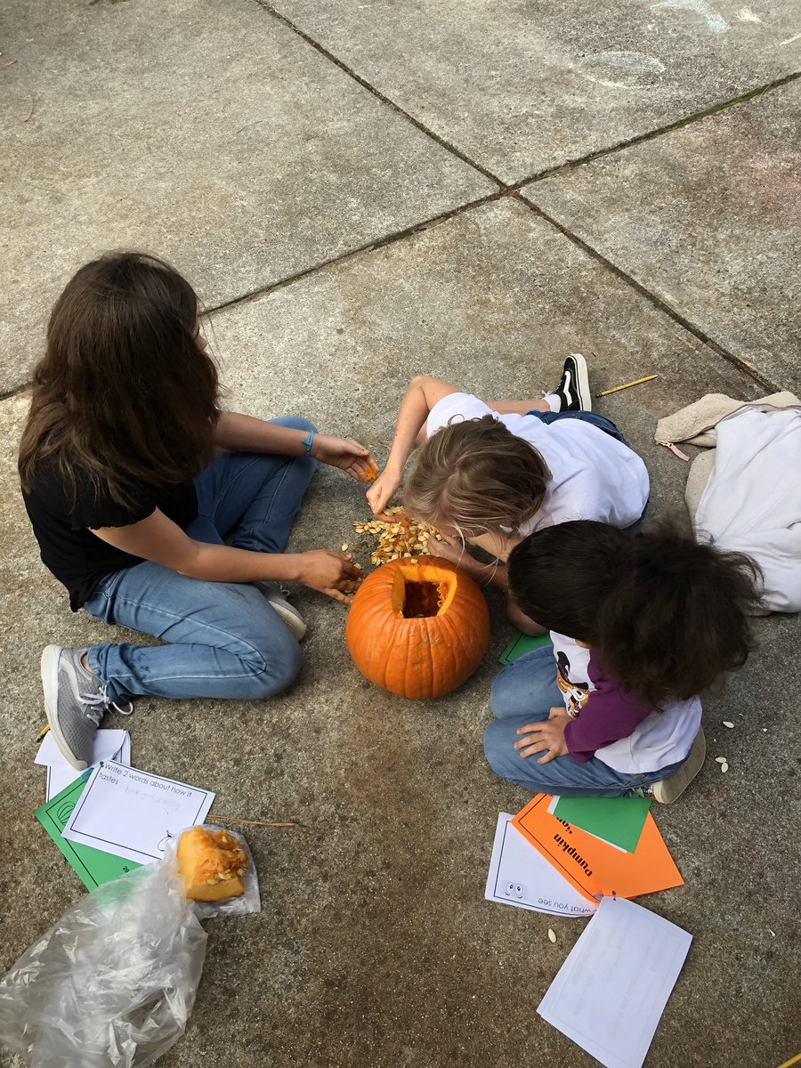 Ally Carroll tweet media