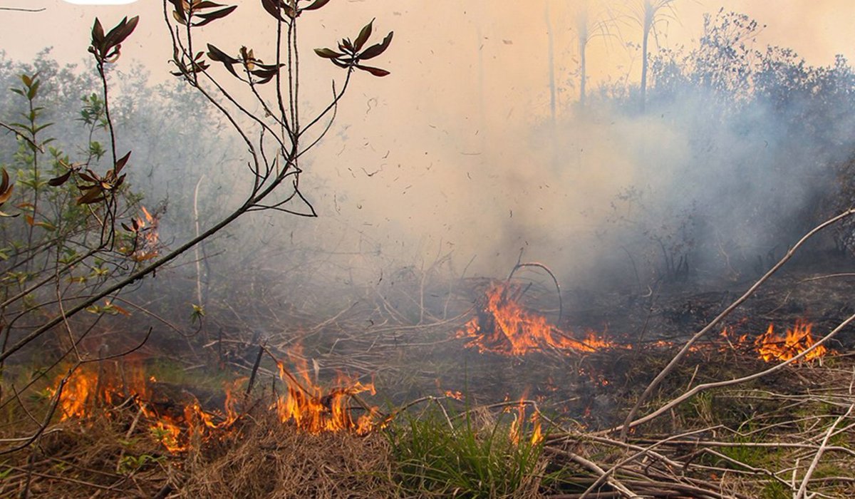 Chester Zoo Science tweet media
