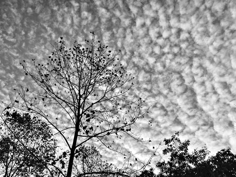 AndiFerguson1's tweet photo. #PhotoOfTheDay. It's Thursday #clouds blogging, #SkyFullOfClouds edition. https://t.co/GQd01bXbL2