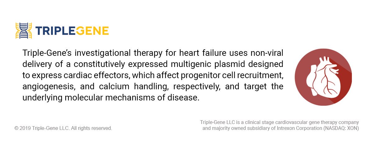 Intrexon's tweet image. Intrexon subsidiary Triple-Gene announces completion of dosing in Phase 1 trial of INXN-4001, first multigenic investigational #genetherapy candidate for treatment of #heartfailure.  Learn more here: ow.ly/rDyV50x4Cwt $XON #cardiovasculardisease
