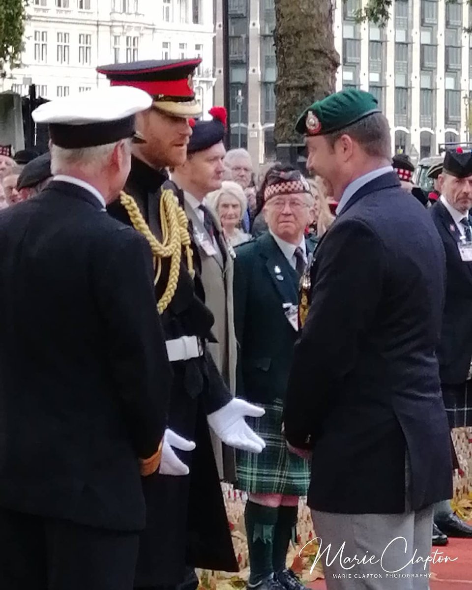 Duke of Sussex #dukeofsussex #princeharry #westminsterabbey #fieldofremembrance