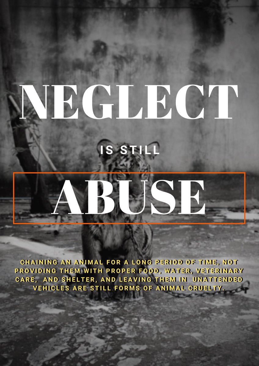 STARTPH2019's tweet image. Be aware! Some abusive acts may seem normal to many, but these acts should be stopped and reported if needed.

#STARTPhilippines
#STARToday
#animals
#animallove
#love
#care
#animalabuse
#savetheanimals