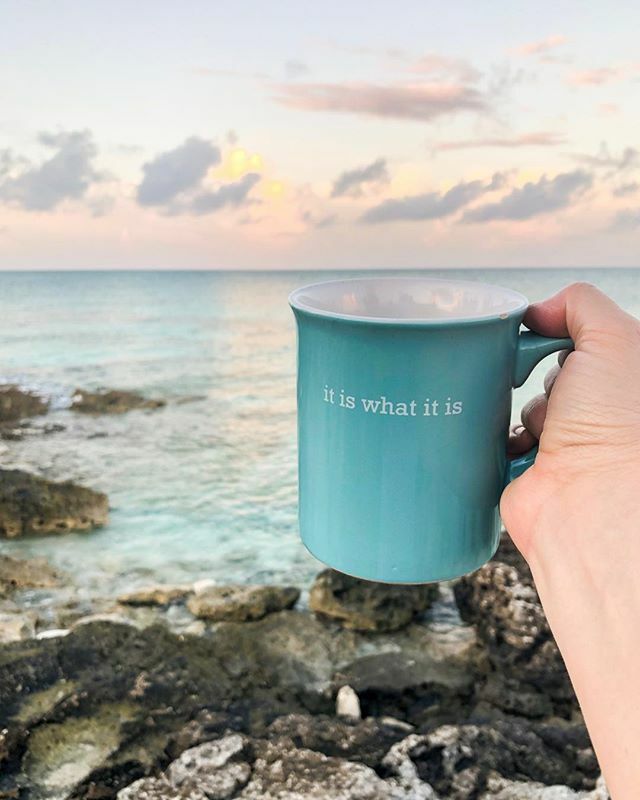 BjonesWedding's tweet photo. Good morning from Cat Island, Bahamas! #bjonesphotography #bahamas #itsbetteringthebahamas #morningcoffee #morningviews #lifeofaweddingphotographer #vacay #tropicalvacation #abacos #bahamasvacation #traveler #remotevacation #coffeesnob https://t.co/DgmALlURd1 https://t.co/LUJN0HBxnW