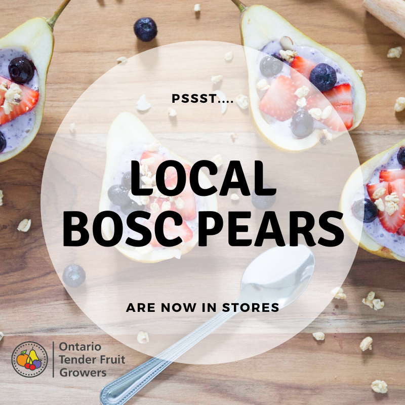 Ontario Tender Fruit (@OntTenderFruit) on Twitter photo 2019-11-07 13:30:22