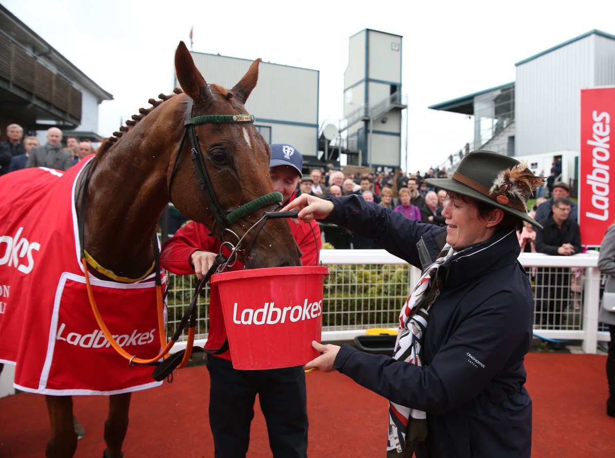 racedisplay's tweet photo. @Ladbrokes @Downroyal @tuvastables @emmacbutch #roadtorespect https://t.co/7gEMn6Vi70