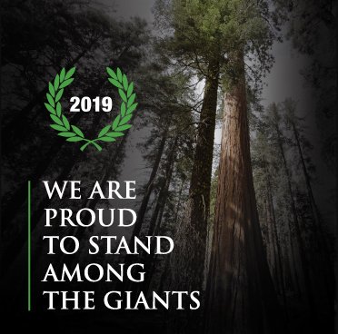 Sequoia Financial Group (@sequoiafin) on Twitter photo We are proud to stand among the giants! It’s a great honor to receive the #SchwabIMPACT Best-In-Business Award from <a href="/Schwab4RIAs/">Schwab4RIAs</a> and be named to @Barron’s list of Top 50 RIAs in 2019. Read more about our recent recognition’s: sequoia-financial.com/proud #SequoiaFin #RIA We are proud to stand among the giants! It’s a great honor to receive the #SchwabIMPACT Best-In-Business Award from <a href="/Schwab4RIAs/">Schwab4RIAs</a> and be named to @Barron’s list of Top 50 RIAs in 2019. Read more about our recent recognition’s: sequoia-financial.com/proud #SequoiaFin #RIA