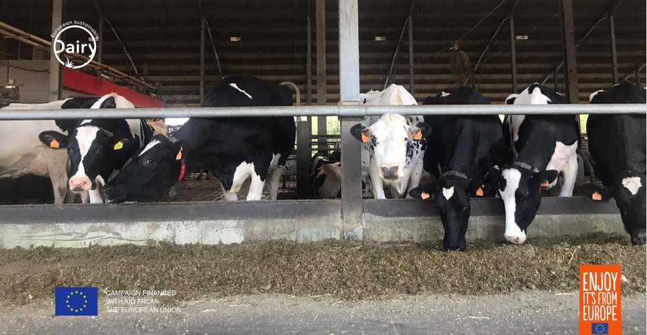 zuivelduurzaam's tweet image. We bezoeken vandaag ook een #boerderij van de toekomst! Met #melkrobots, #zonnepanelen, #warmterecuperatie en veel meer bewijzen Jos en Kathleen Van den Houte van de Potaerdehoeve in Merchtem dat #zuivelproductie ook duurzaam kan. Keep up the good work! #SustainableDairyEU