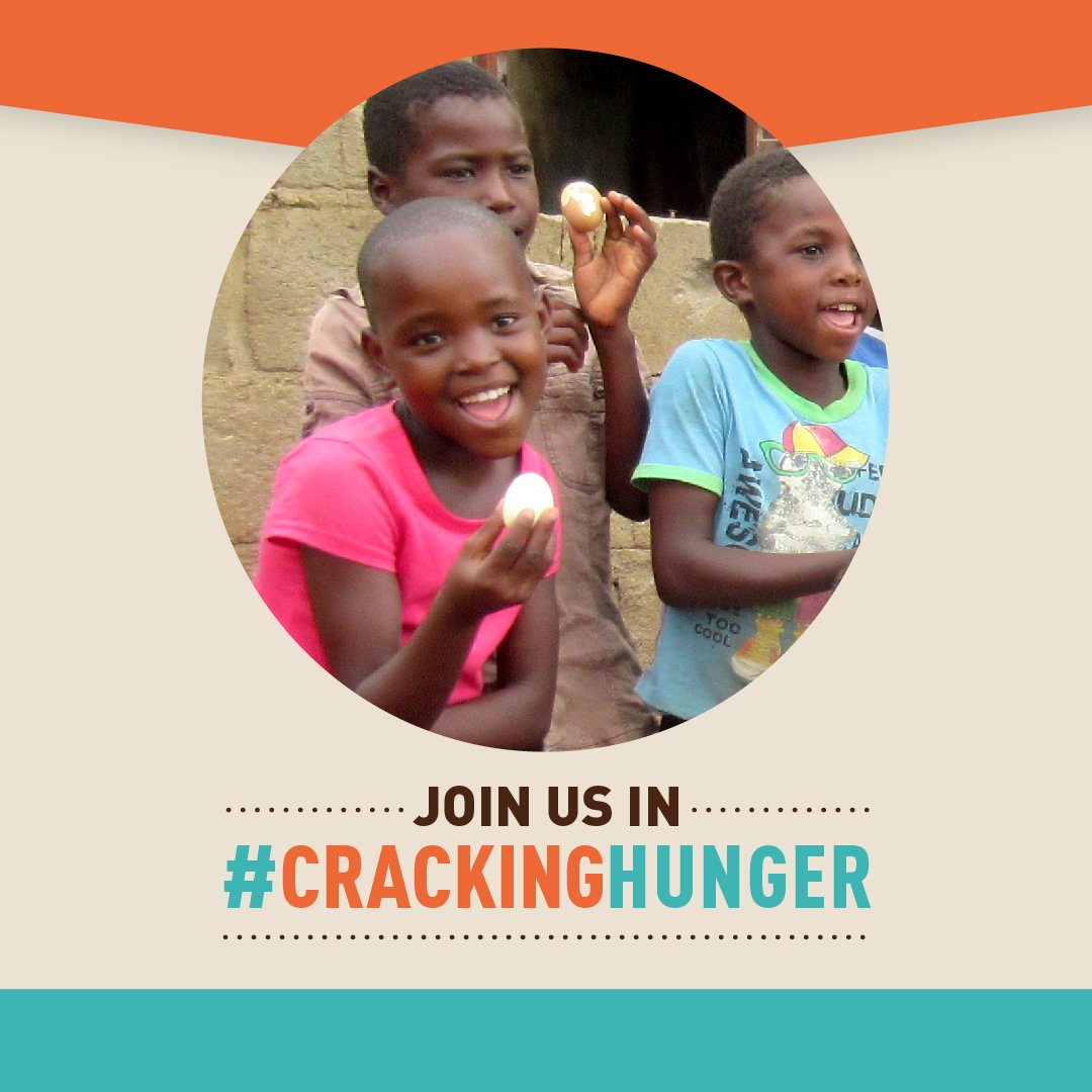 5 years, 5000 hens, 5 million eggs. We've been working with <a href="/HeartForAfrica/">Heart for Africa</a> to provide consistent and nutritious food for the Swazi community and we're far from finished. 🍳

Join us in #CrackingHunger! Donate today: expi.co/01nYzE