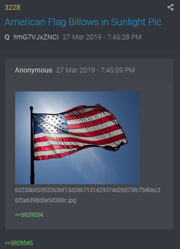 Q Post 11/2 of Flag waving in the wind. As we all have learned, timing is everything.WWG1WGA!!