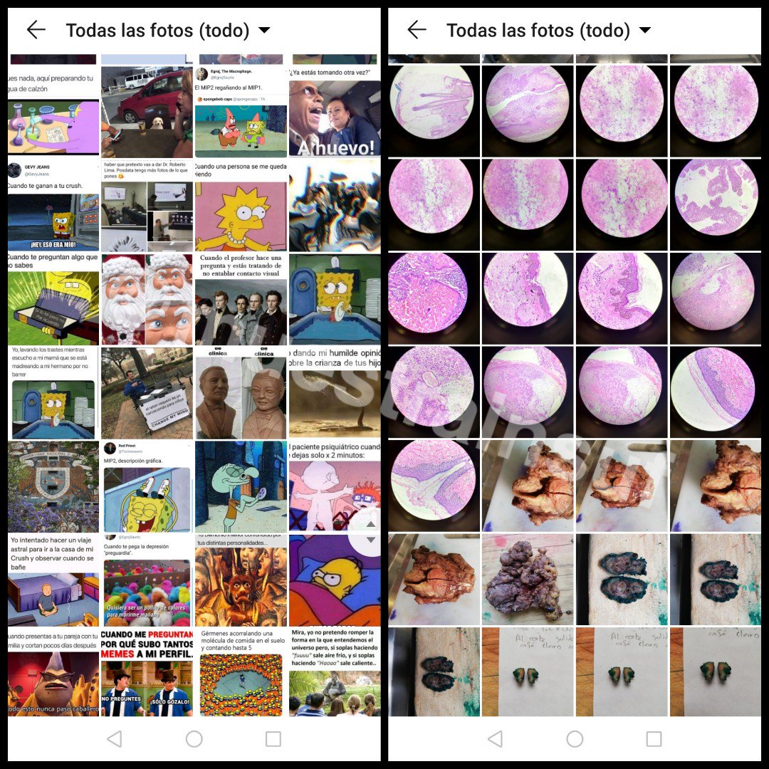 El cel de todos || El cel del Patólogo.