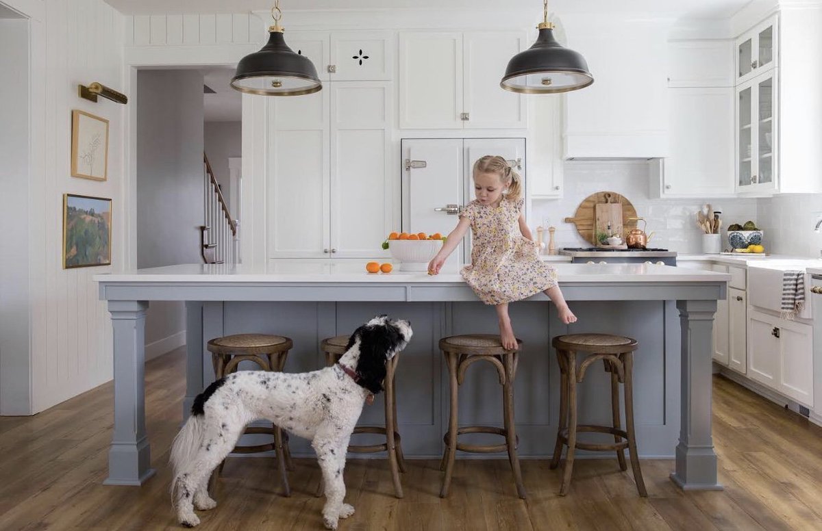 The kitchen is where memories are made and meals are prepared. Proper ventilation and clean air is essential. Choose Faber.

Thank you @houseofjadeinteriors for sharing this great image featuring Faber's Inca Lux insert hood!
#faberairmatters