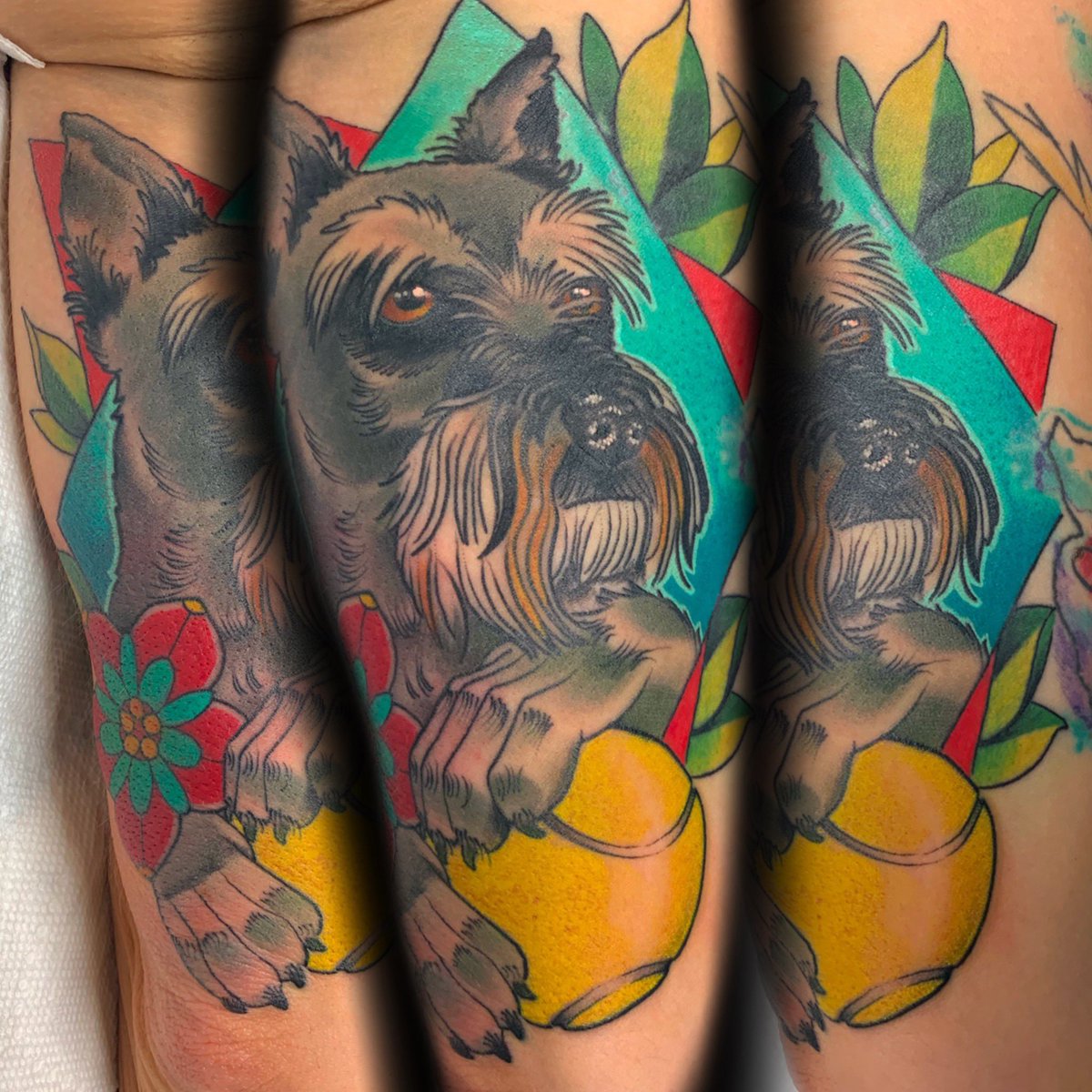 Doggo. Lines, black, background, leaves all healed. Rest of the doggo, tennis ball, and flower fresh. ✌️