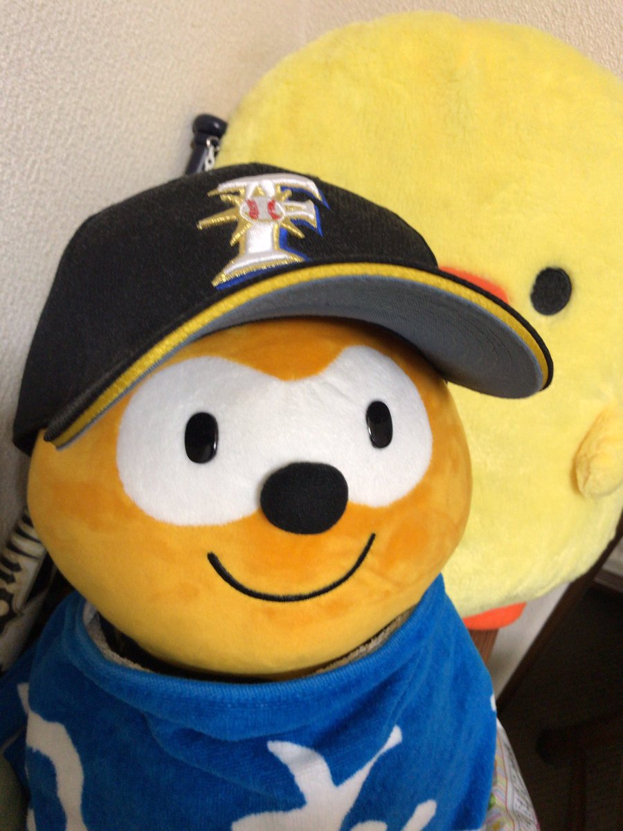 ファイターズポンタ ファイターズポンタ