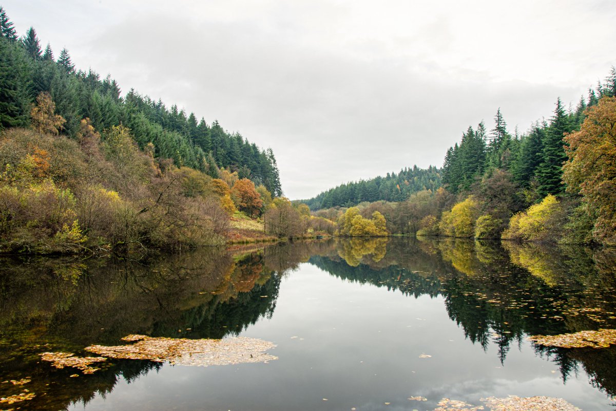 #Staindale Lake in @ForestryEngland @Dalby_Forest is absolutely stunning with the #Autumn colours and even more stunning when the lake is like a mill pond. #AutumnLeafWatch @BBCLookNorth @Countryfilelive @Welcome2Yorks @northyorkmoors