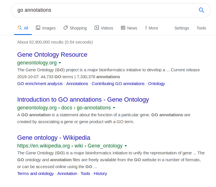 Google search for "go annotations" turning up things unrelated to golang.