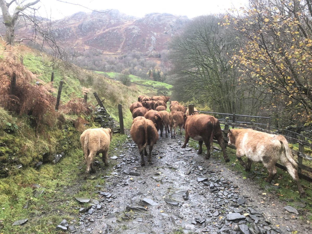 Tony Booth tweet media