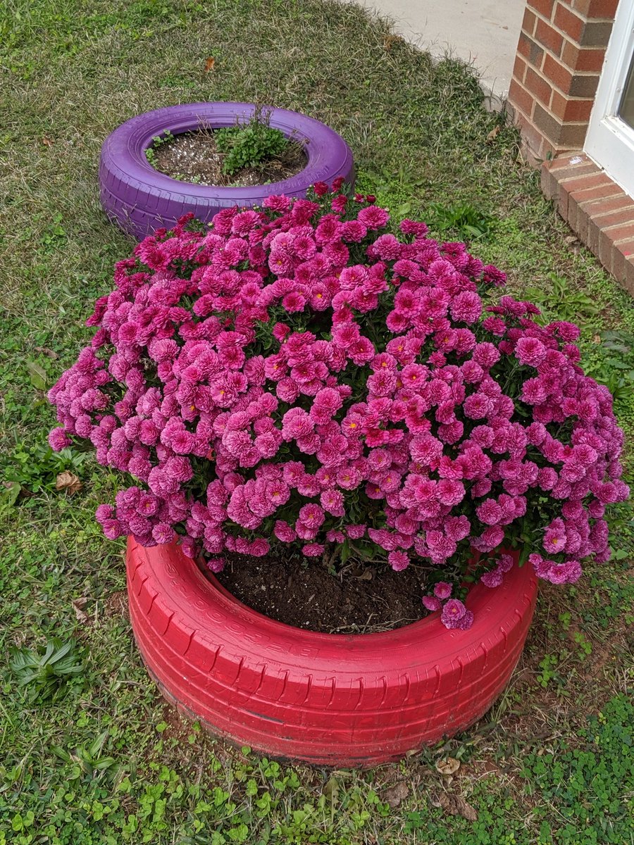 DTES_Landscape tweet media