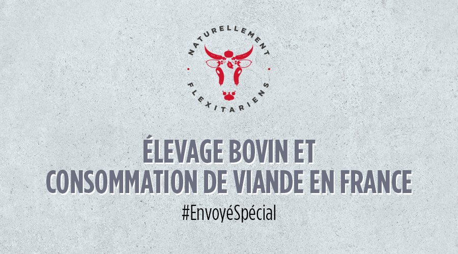 LesFlexitariens's tweet photo. Ce soir, l’émission d'#EnvoyeSpecial de @France2tv 📺 est dédiée à la viande 🥩
C'est donc l'occasion d'en savoir plus sur l'#élevage bovin 🐄 en France et la consommation de #viande.
Suivez notre livetweet 👉 @lesflexitariens https://t.co/Zfvd0ZJt6Q