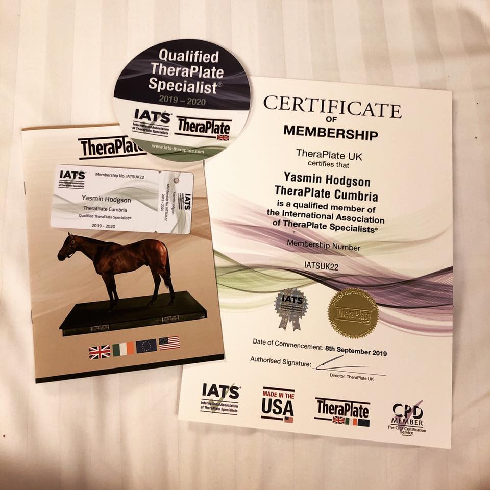 TheraPlateUK's tweet photo. TheraPlate Specialists® are mobile TheraPlate professionals who have completed the IATS training day and are recommended by us.

TheraPlate Cumbria is our TheraPlate Specialist of the week! Take a look at their Facebook page for further information🌪 #IATS #TheraPlateUK https://t.co/SL71WCMuyQ