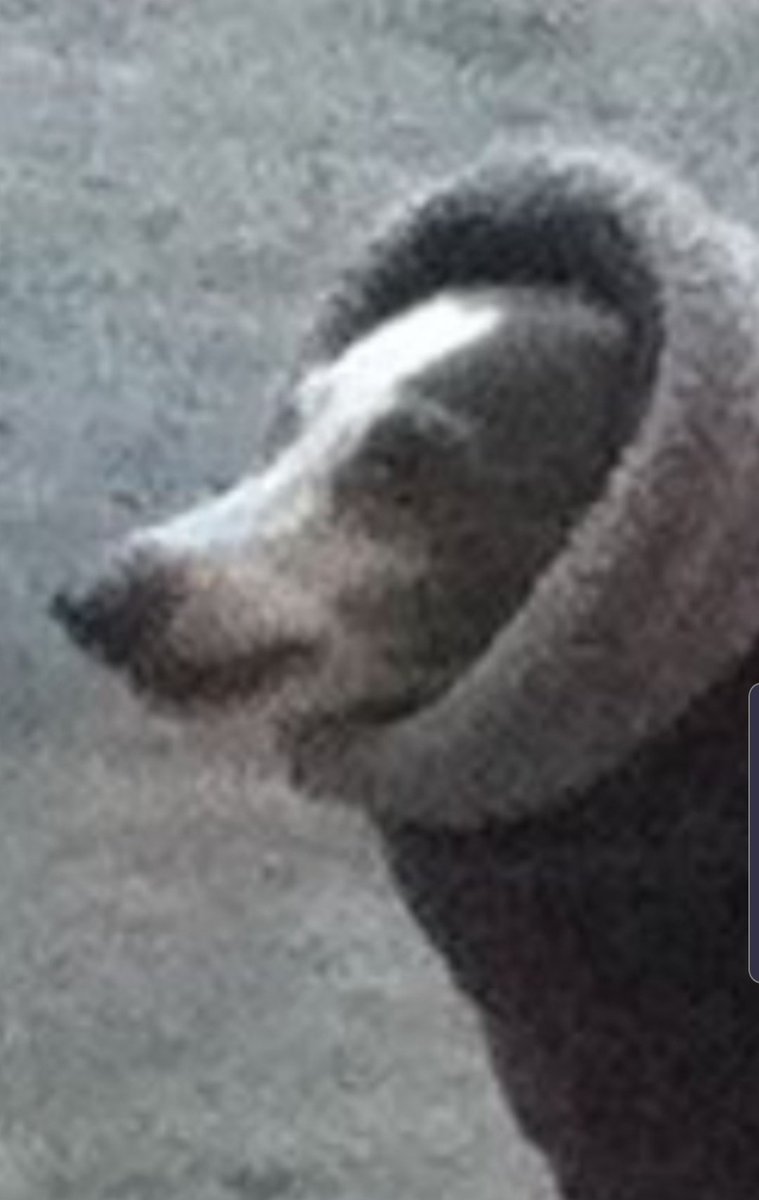 Spince_'s tweet image. 