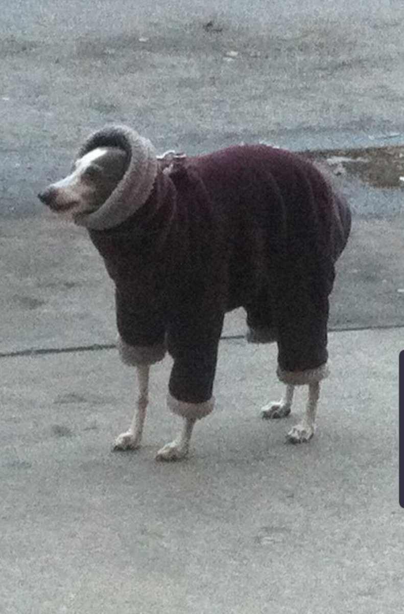 Spince_'s tweet image. 