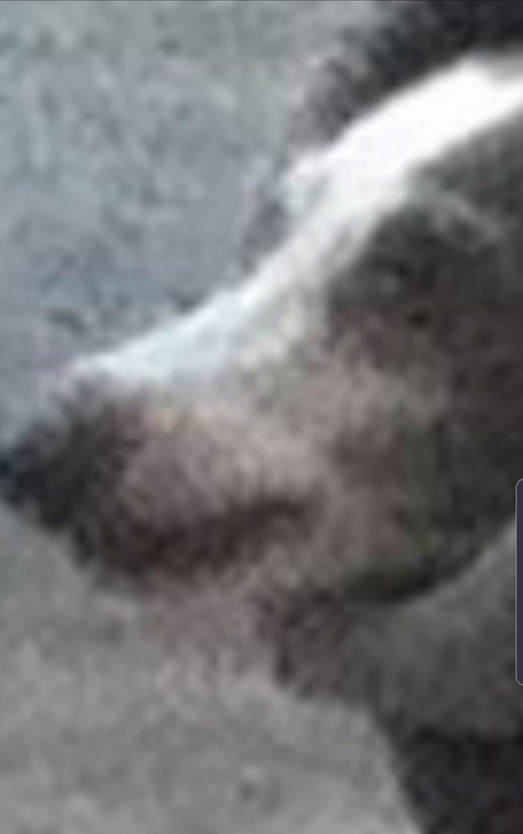 Spince_'s tweet image. 