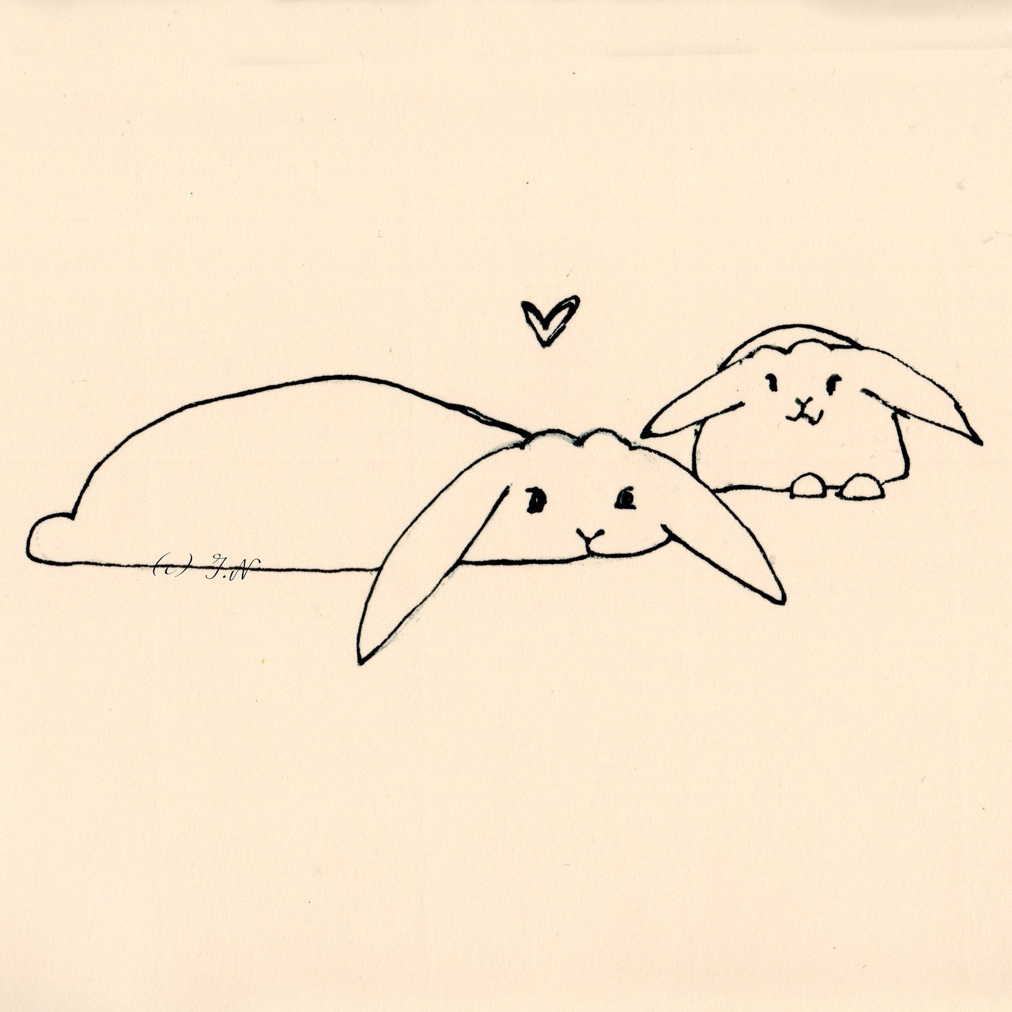 なべっち 子うさぎ Lopearedbunny Art Illustration イラストレーター １日１枚 Rabbit Bunnies Bunny Animalonearth うさぎ Rabbits 絵描きさんと繋がりたい うさぎ イラスト好きと繋がりたい キラキラ ロップイヤー