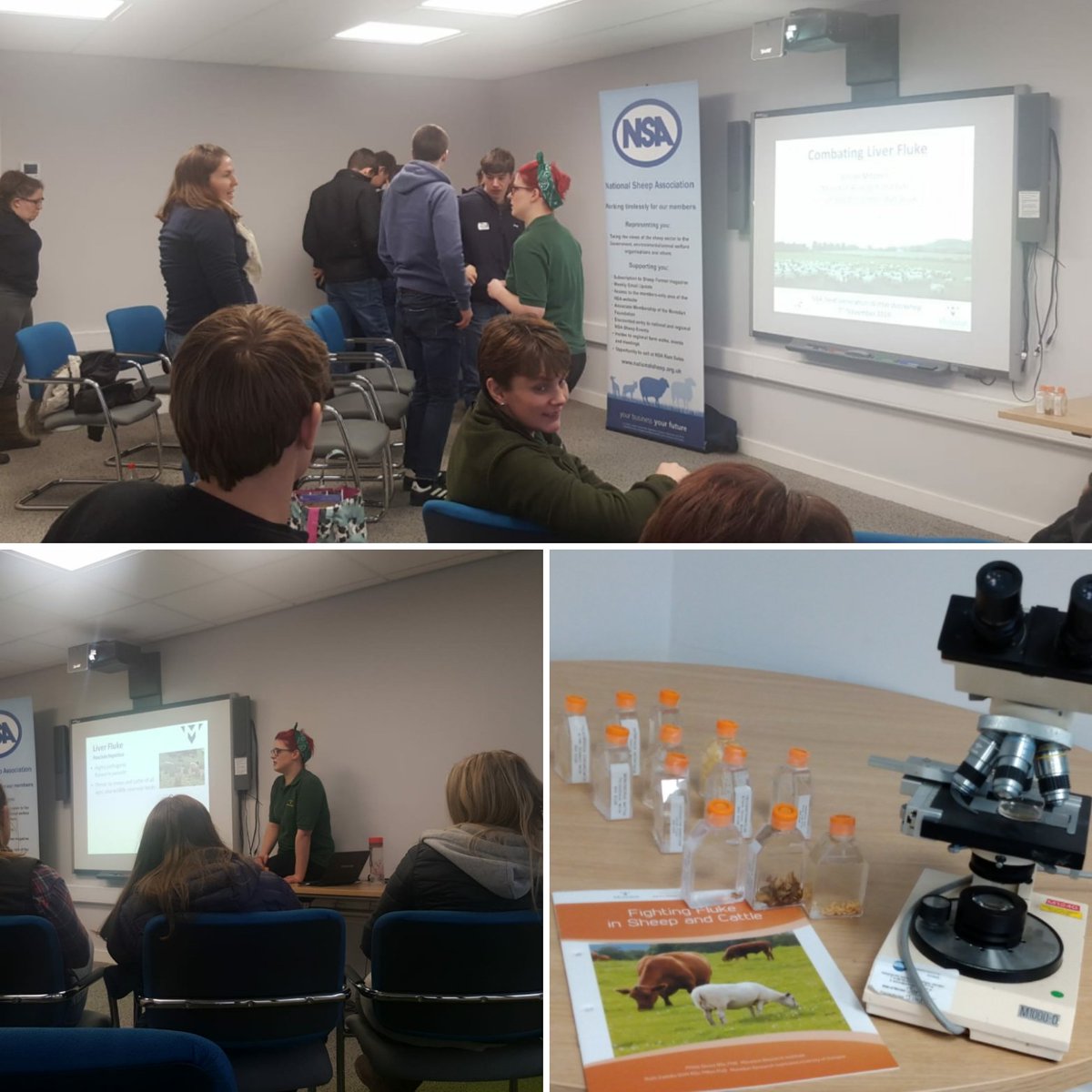 Gill_Mitchell_'s tweet photo. Another great day of workshops at the @natsheep NSA next gen winter conference chatting about #liverfluke! Lots of engaged young farmers interested in learning about fluke risk on their #farm. https://t.co/bgq36Jn1Fg
