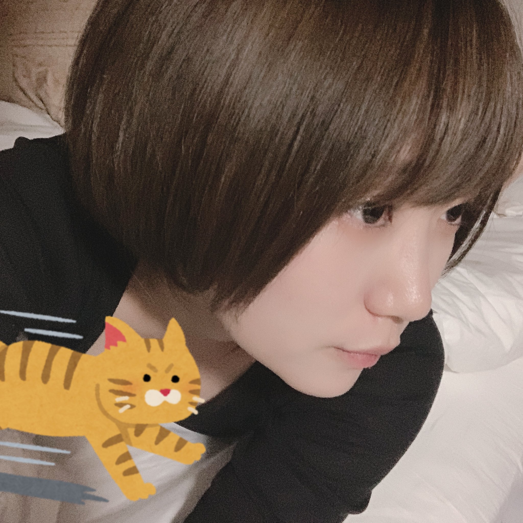 はつめ 引っ越し終えて3キロ痩せてました わーい ᐢ ᐢ 顔スッキリ T Co Imtrpydbgq Twitter はつめ 引っ越し終えて3キロ痩せてました わーい ᐢ ᐢ 顔スッキリ T Co Imtrpydbgq Twitter