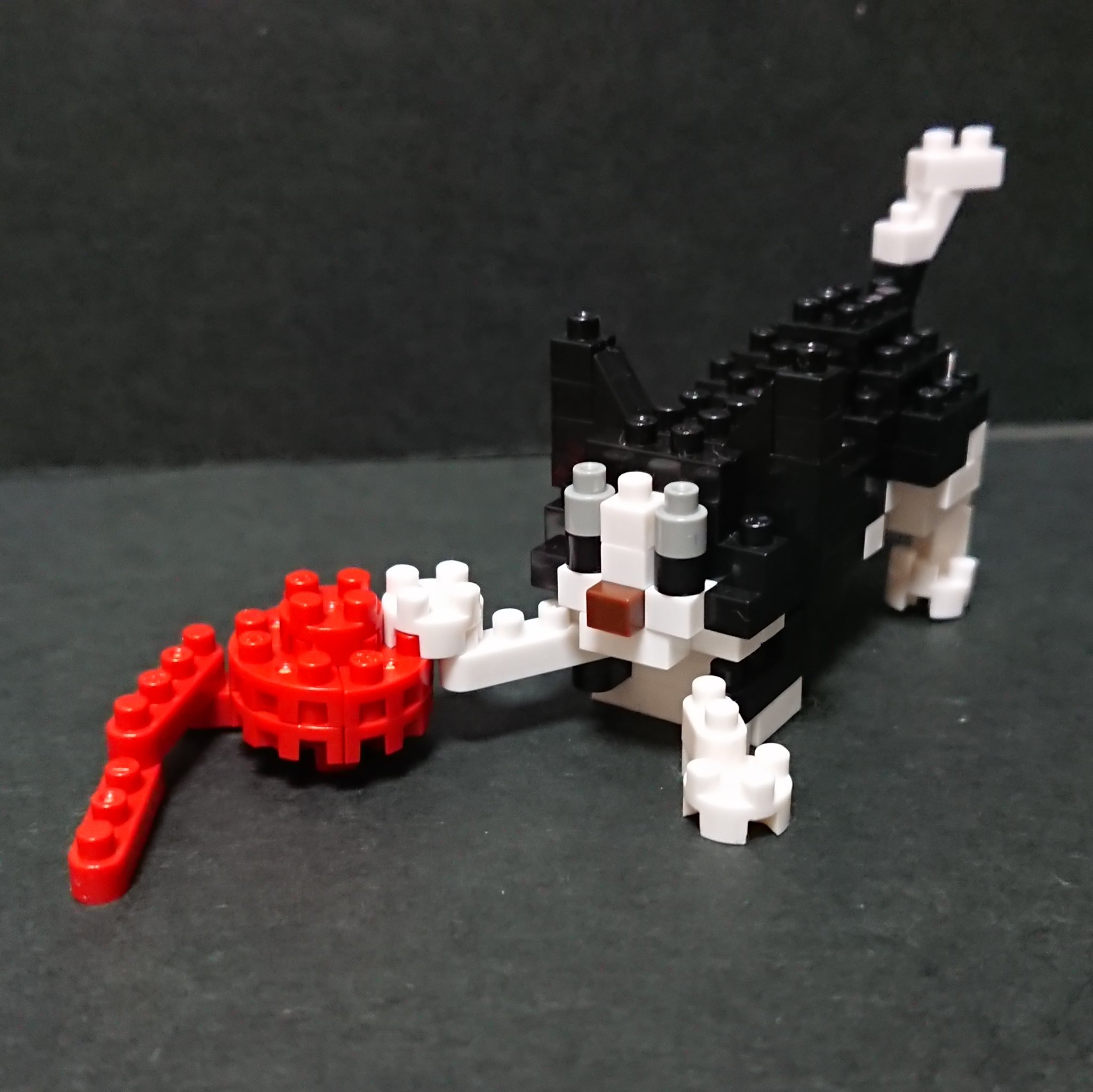 ぼちこ Nbc 271 ポーズアニマル 毛糸遊び猫 難易度 2 Pcs 110 販売場所 ヨーロッパ限定 Nanoblock ナノブロック ナノブロックアンバサダー T Co Evmvoqjd4e Twitter