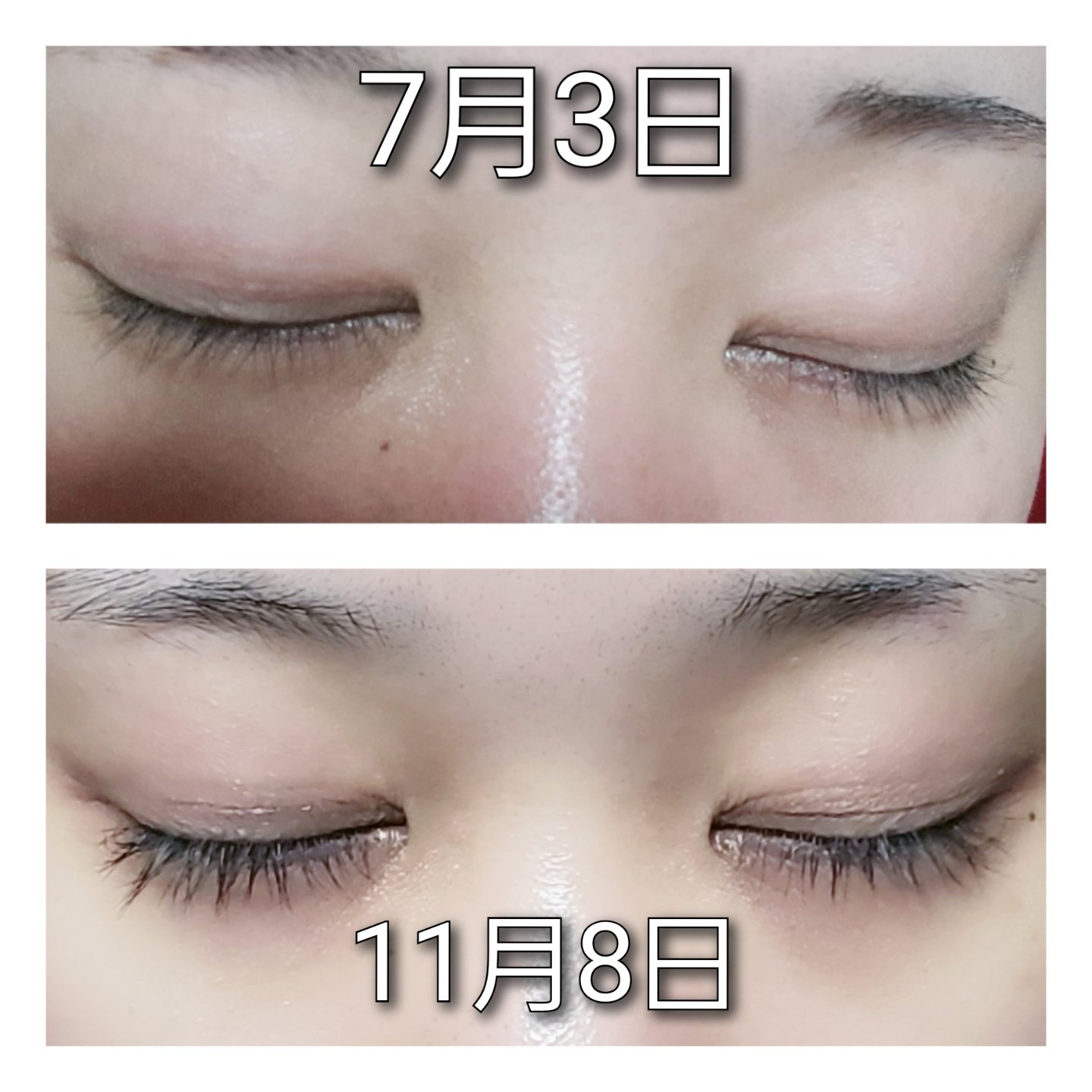 ハルキ 睫毛が産毛レベルで弱く少なくて マツエクや睫毛パーマの店員に 本当に睫毛ないですね と言われ続けていた私が マジで睫毛シゲって伸びたんで 宣伝しときます 1本目なんだけど まだ残量ある T Co Ip2f3xnoip Twitter