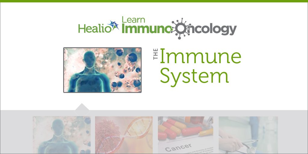 Learn Immuno-Oncology: This introductory module describes the purpose of the human immune system, components of the immune system, and innate and adaptive immune responses. Read more: healio.com/hematology-onc… @EdKimMDLCI