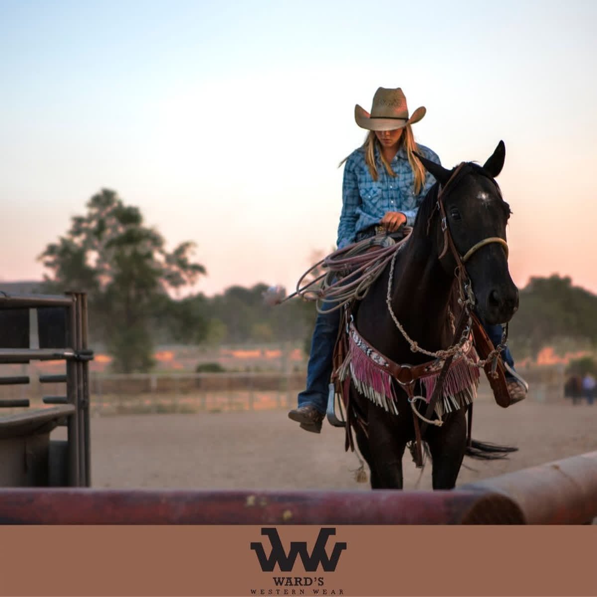 wards western wear big spring