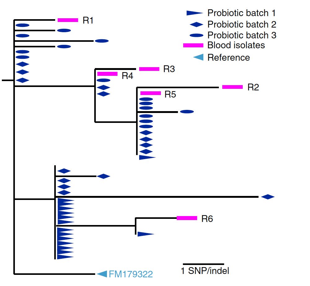 EricTopol's tweet image. The use of #probiotics in hospitals is increasing. Now the first proof via genomic sequencing that these pills can induce sepsis nature.com/articles/s4159… @NatureMedicine by @TechnionLive&apos;s @idanyelin @harvardmed and collaborators