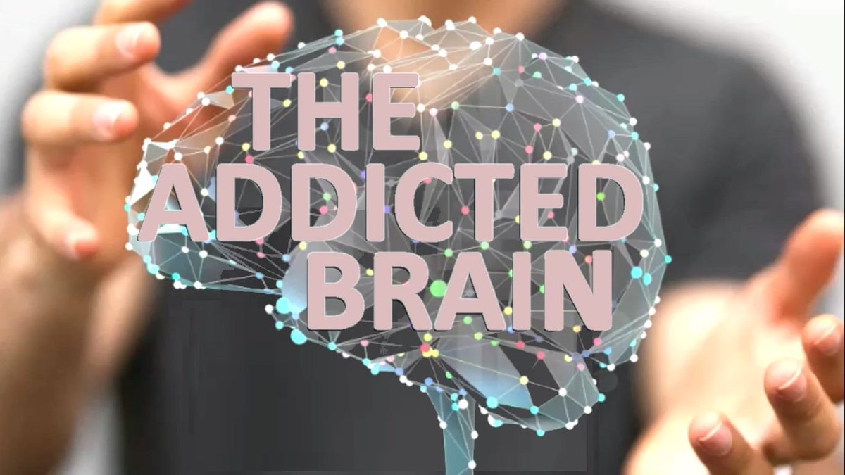 TimHiltonTalks's tweet photo. MEMPHIS and SOUTHAVEN - I will be at Getwell Church tonight at 6pm.  This is a free public event.  Come here my presentation, #Theaddictedbrain.   https://t.co/FnZNgNXjjZ https://t.co/QcPByVNcRN