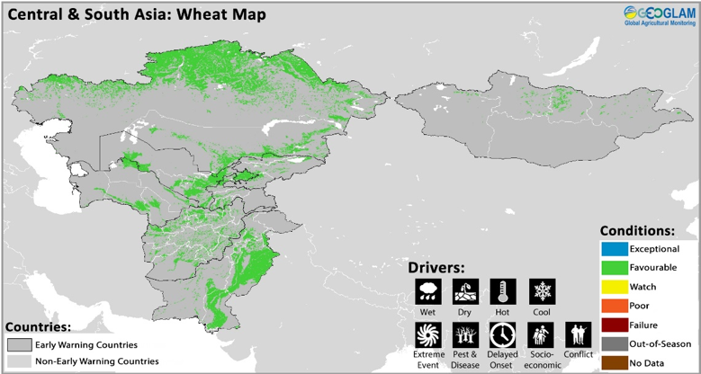 GEOCropMonitor's tweet photo. Harvest is complete for #springcereals across Central and South Asia and output is estimated slightly below the five-year average due to reduced output obtained in #Kazakhstan. Find out more this months’ #CM4EW at https://t.co/3uh3L5ibmu https://t.co/U7I52NY4fC