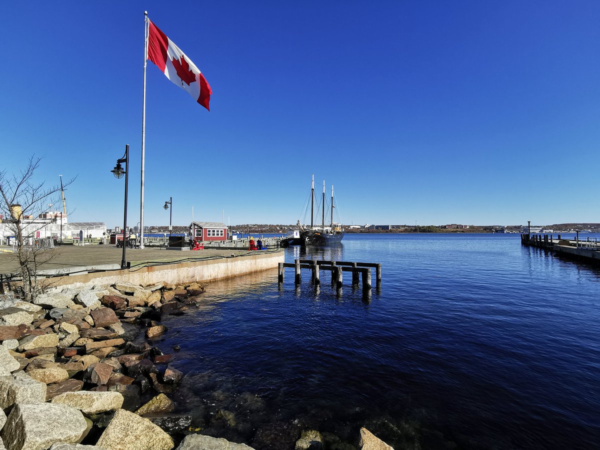 I really had a blast of time here & I do hope that I will return some day to see more of this beautiful country!
Thank you all so much for having us & hope to see you at the @Book_Fair 2020!
@CSeeberTCS
@CFbm2020 @AlexLiot @TCS_SDC @CdnHeritage @NS_CCH  @NimbusPub
#CanadaRocks