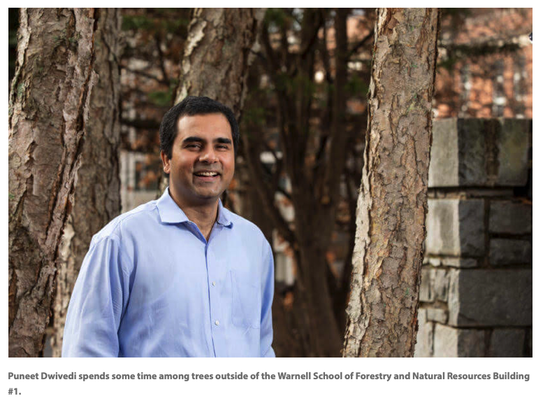 sfiprogram's tweet photo. "At least 80% of the forestland in #Georgia is positively impacted by the #SFI Fiber Sourcing Standard, which again, means better water quality and more economic opportunities for the state." @PuneetDwivedix @UGAWarnell #ForestsOfOpportunity. 

Read more: https://t.co/020ZNWC3MF https://t.co/QElZeIlm1R