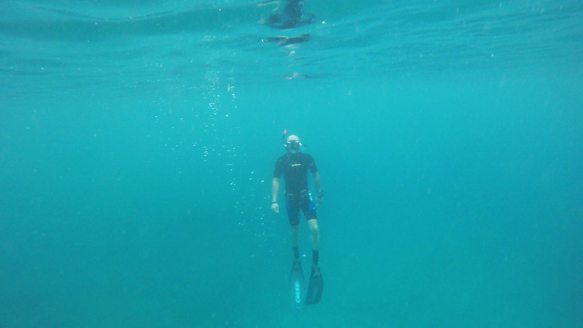 diving_seals's tweet photo. FREE DIVING ππβοΈ
Join our @PADI freediver course today π
@PADI_Travel @PADIProsEU
#padi #paditv #paditravel #padipros #padidivecenter #freediving #freediver #divingcourse #divewithus #diveingreece #diverslife #sealsdivingcenter https://t.co/jKBxcIp2wq