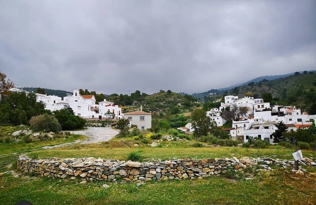 Ahora el fuego del otoño quema lentamente por el bosque y día a día las hojas muertas caen y se funden. 🍃🍂