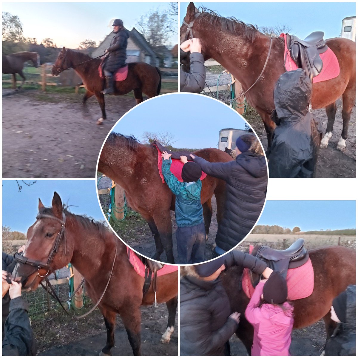 Apparently this has never happened before at @TheFarmOrganic 
The children preparing the horses ready to ride.#firstofakind #Horses #farminguk #livingonthefarm